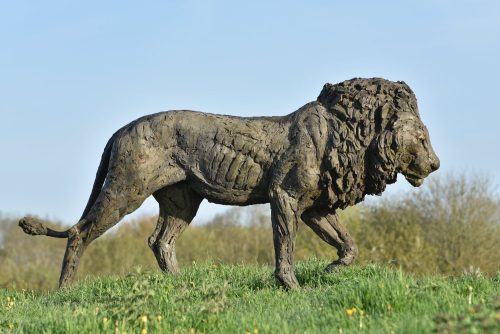 life size bronze lion in field