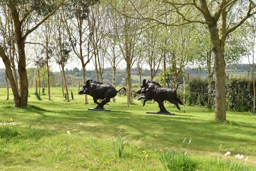 Hamish life size wild boar in garden