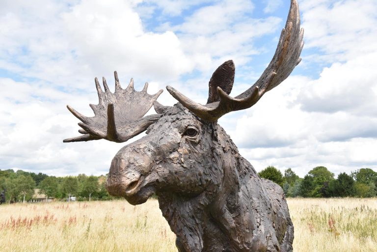 close up of Moose sculpture head