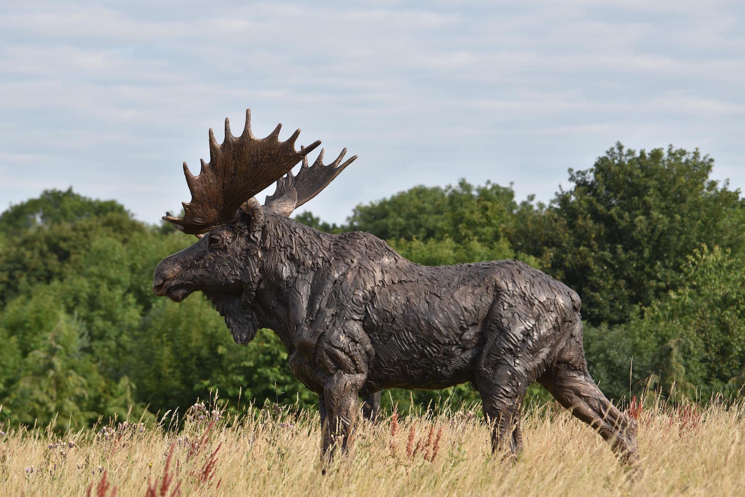 Life size Moose sculpture in field