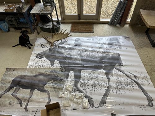 Plans and drawings of Moose sculpture