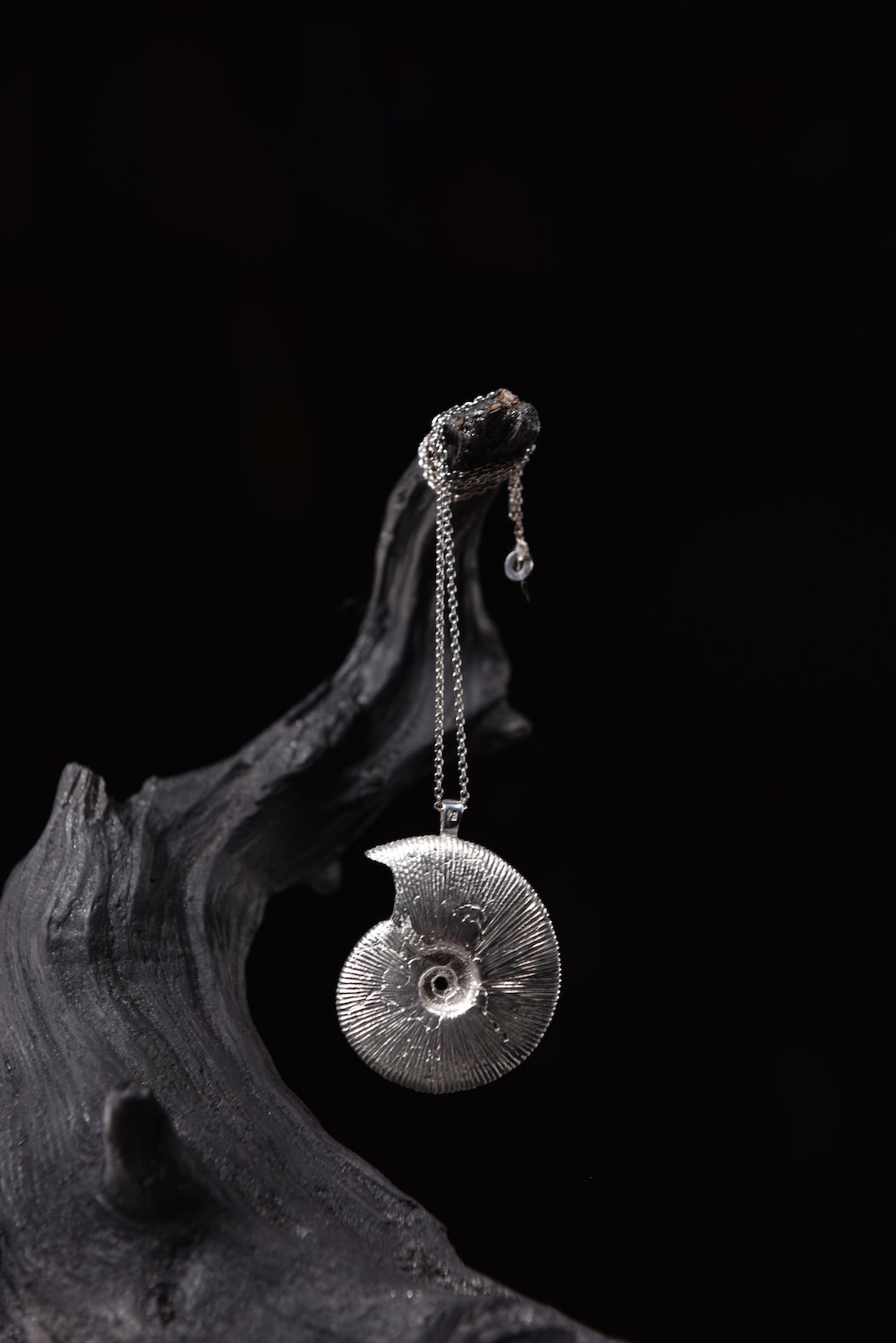 Silver ammonite pendant by Mackie