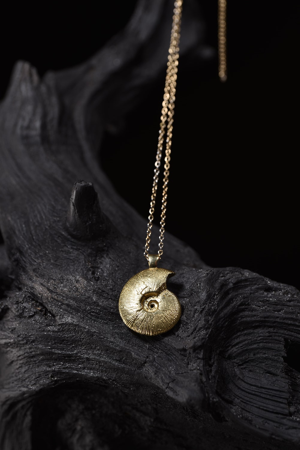 Gold ammonite pendant