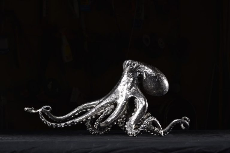 Silver Octopus by Mackie