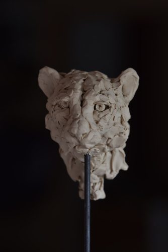 cheetah head study in plasticine