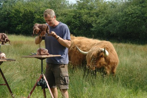 Highland cattle in field with Hamish