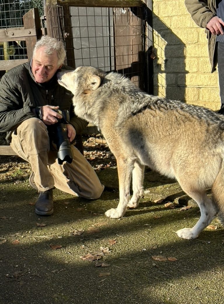 Hamish with wolf at Heythrop