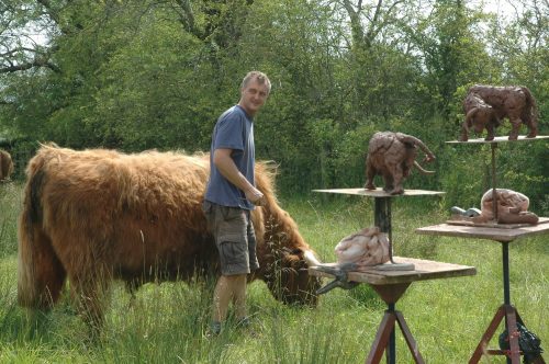 Hamish sculpting with Highland bull