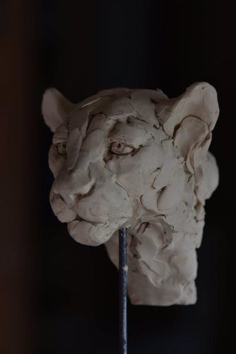 Mackie's plasticine original for leopard head study