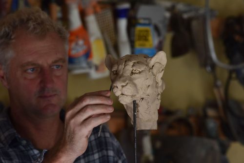 Making leopard head study in studio