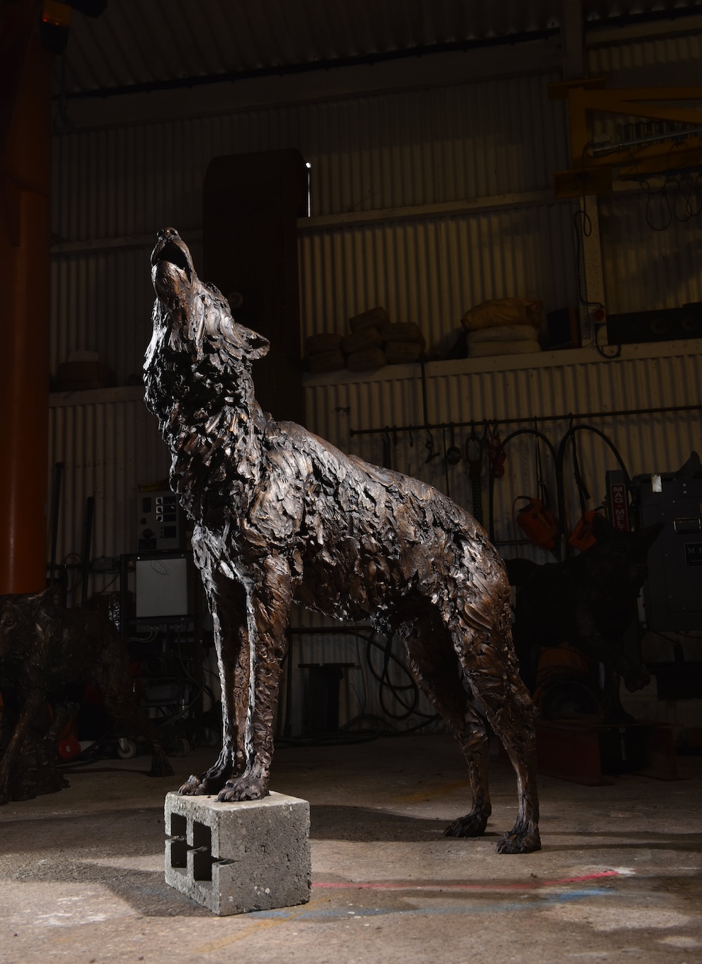 Hamish Mackie's life size Male Wolf Howling sculpture