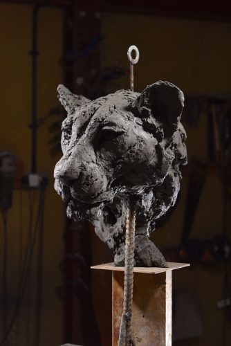 Hamish Mackie's Lioness Head