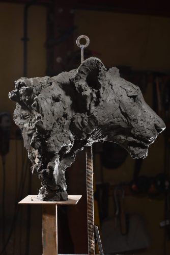 Mackie's lioness head