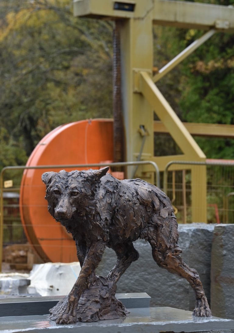 Hamish's bronze wolf on a mound