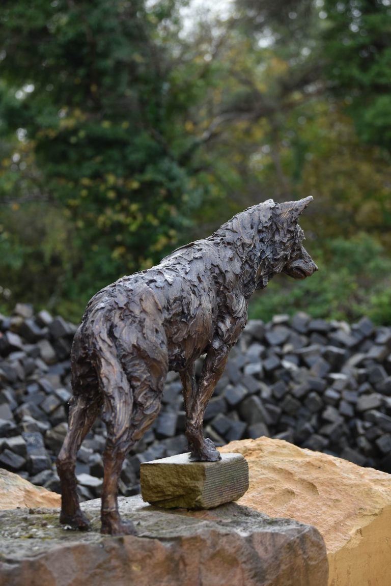 Female wolf bronze by Mackie