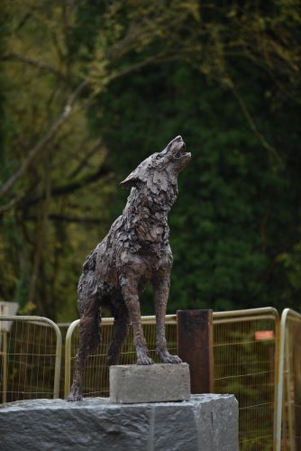 Male wolf sculpture by Hamish Mackie