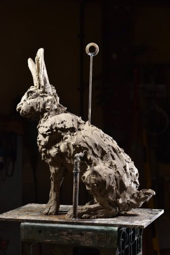 bronze Hare sitting by Hamish Mackie