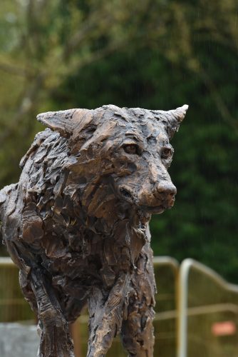 Bronze wolf