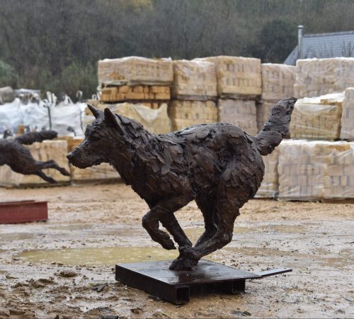 Bronze Wolf running legs under by Hamish Mackie