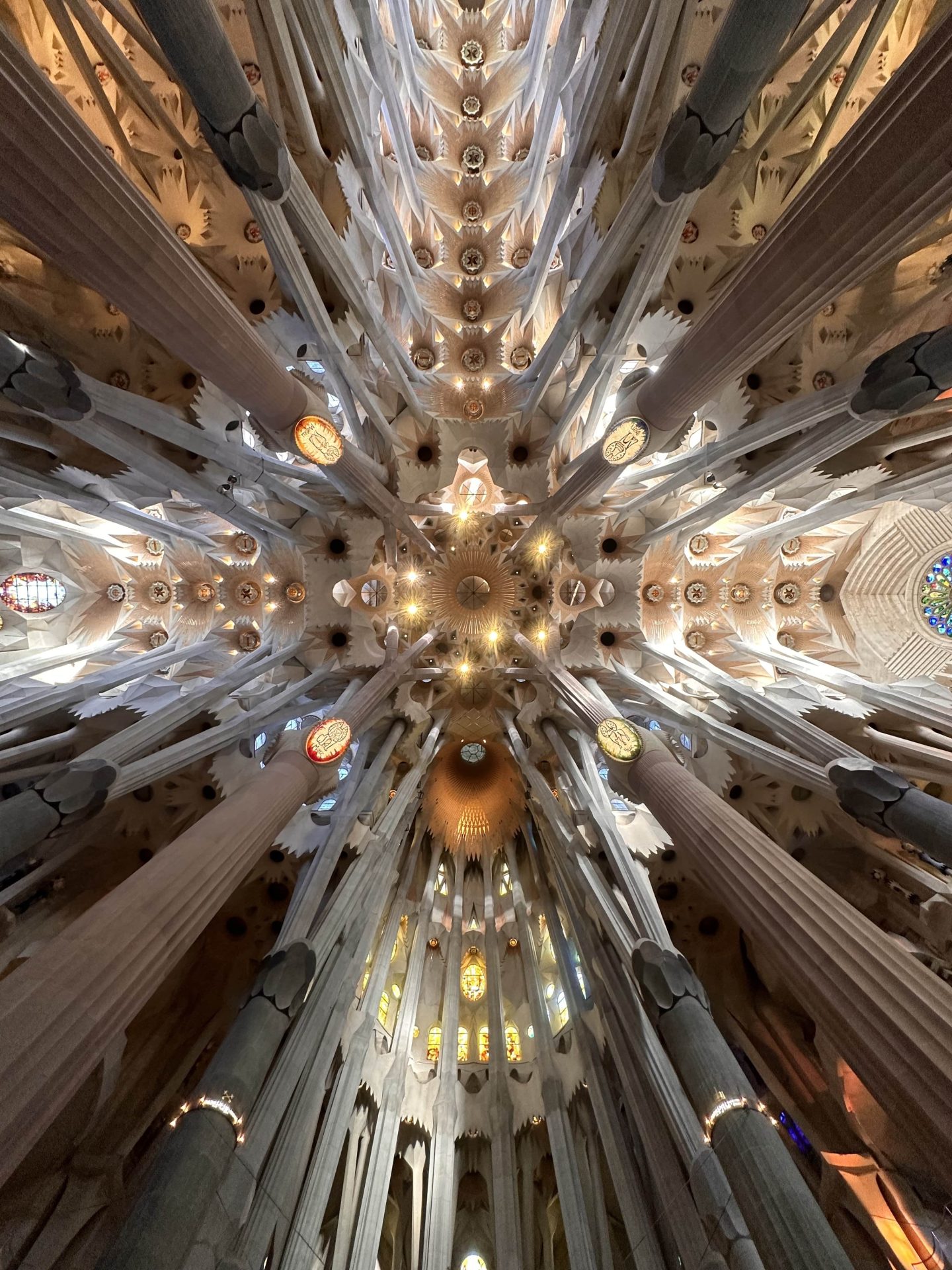 ceiling of Sagrada Familia