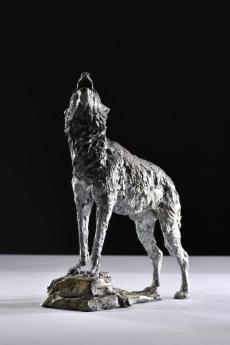 Mackie's male wolf howling scaled down