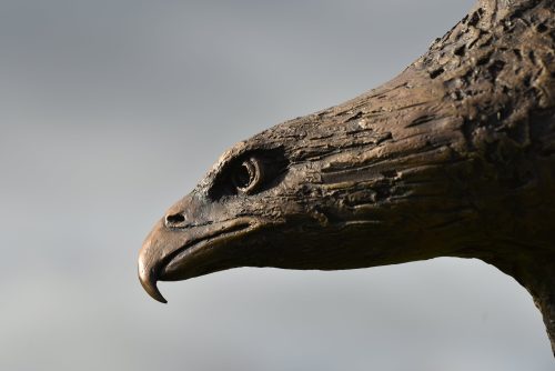 head of bald eagle sculpture