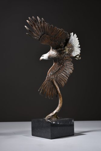 Hamish Mackie's scaled bald eagle