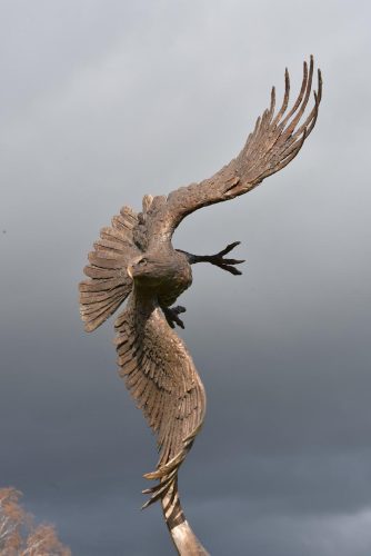 Hamish's bald eagle sculpture