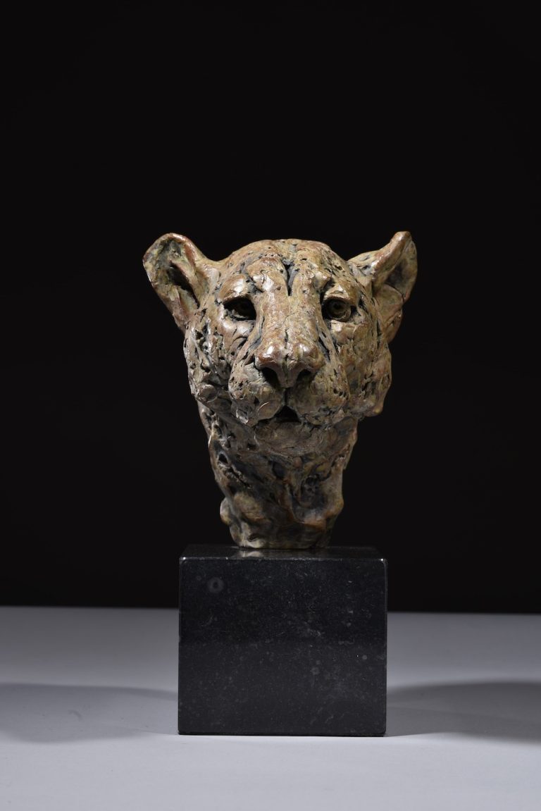 Leopard Head Study by Mackie