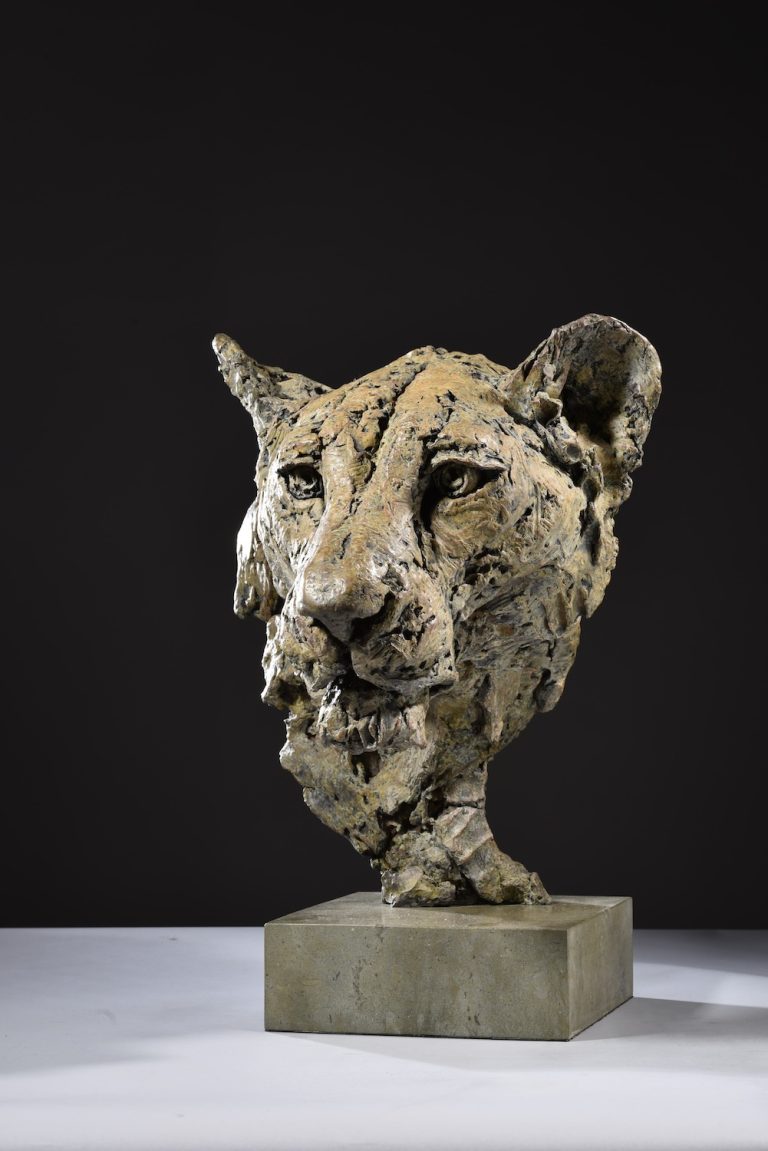 Bronze lioness head