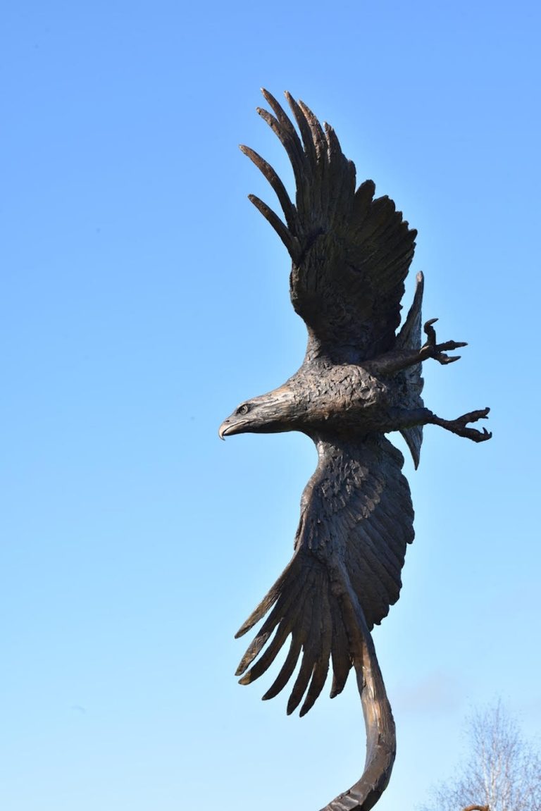 Mackie's Bald eagle sculpture