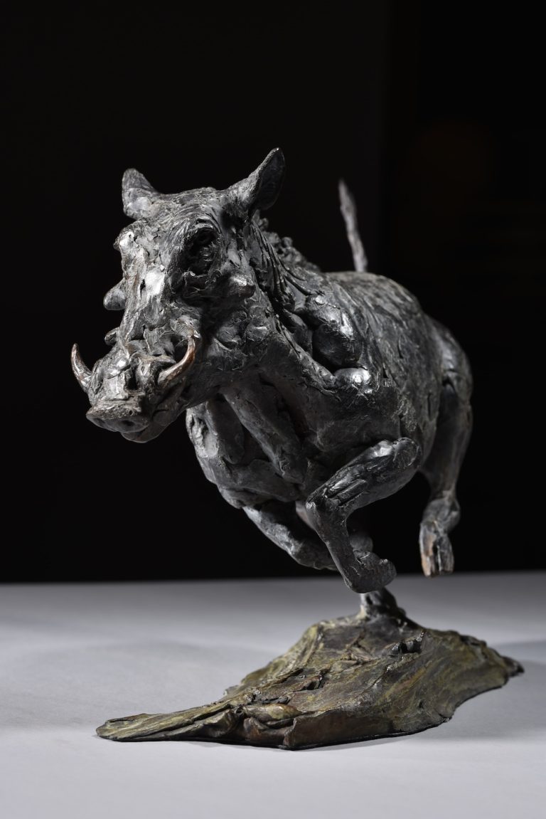 Hamish's sculpture of warthog