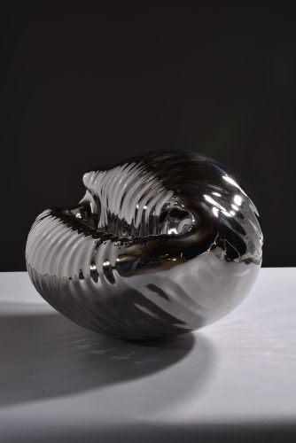 cowrie sculpture in stainless steel