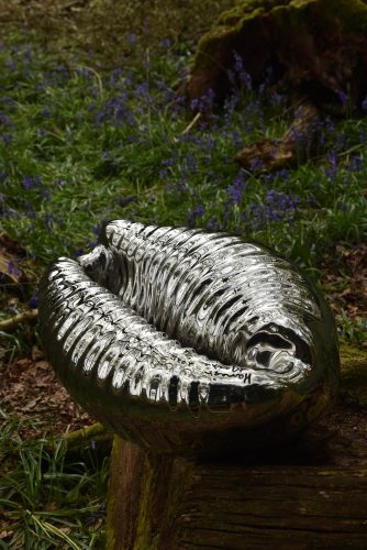 cowrie sculpture in patch of bluebells