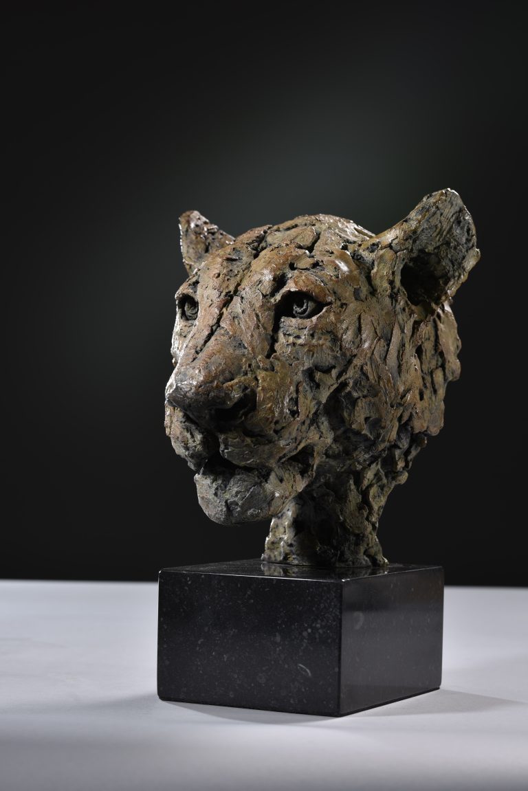 Mackie's bronze Lioness Head study
