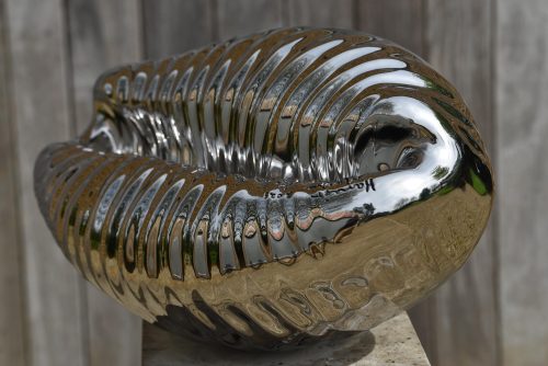 stainless steel cowrie shell sculpture