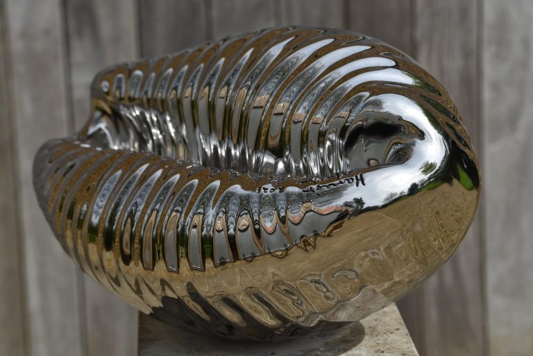 stainless steel cowrie shell sculpture