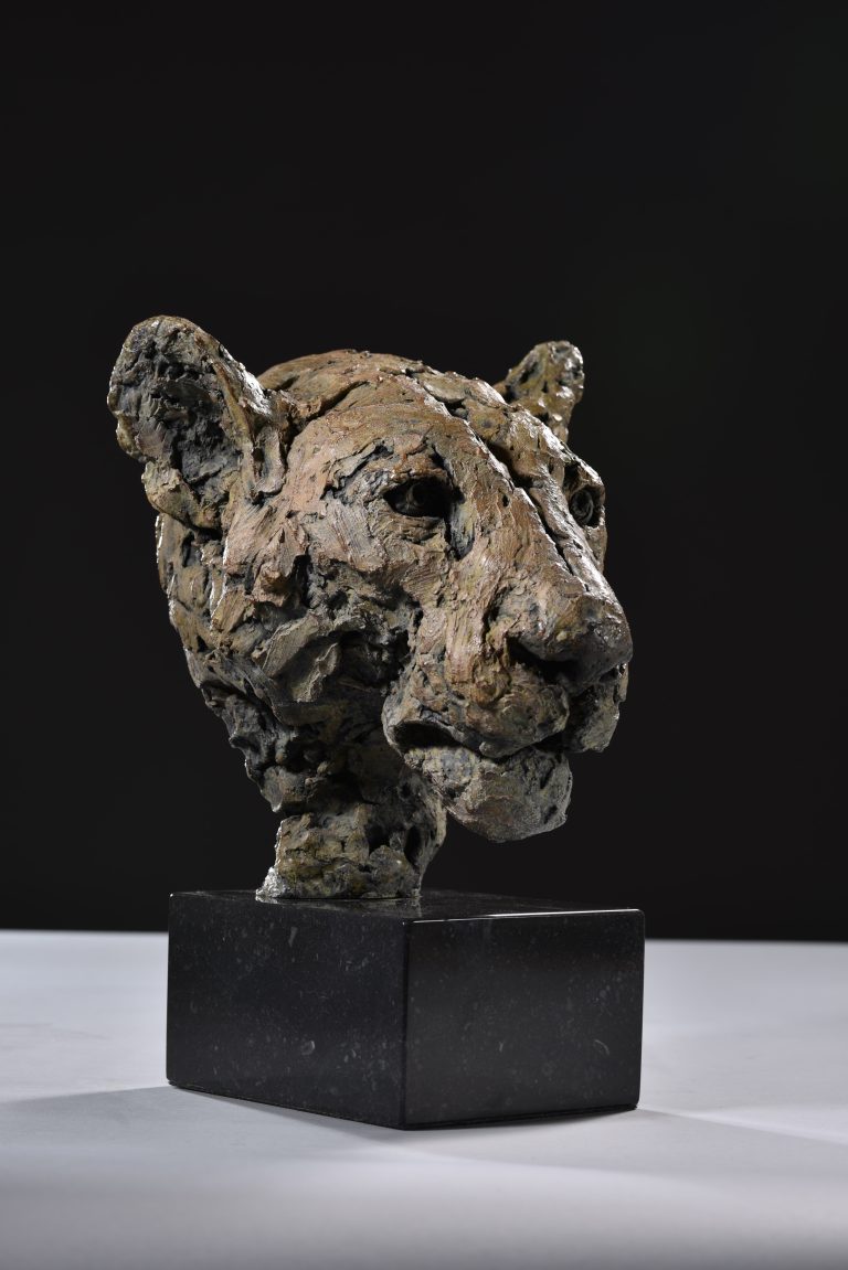 Bronze lioness head study by Mackie