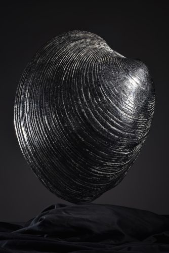 Quahog Clam stainless steel sculpture