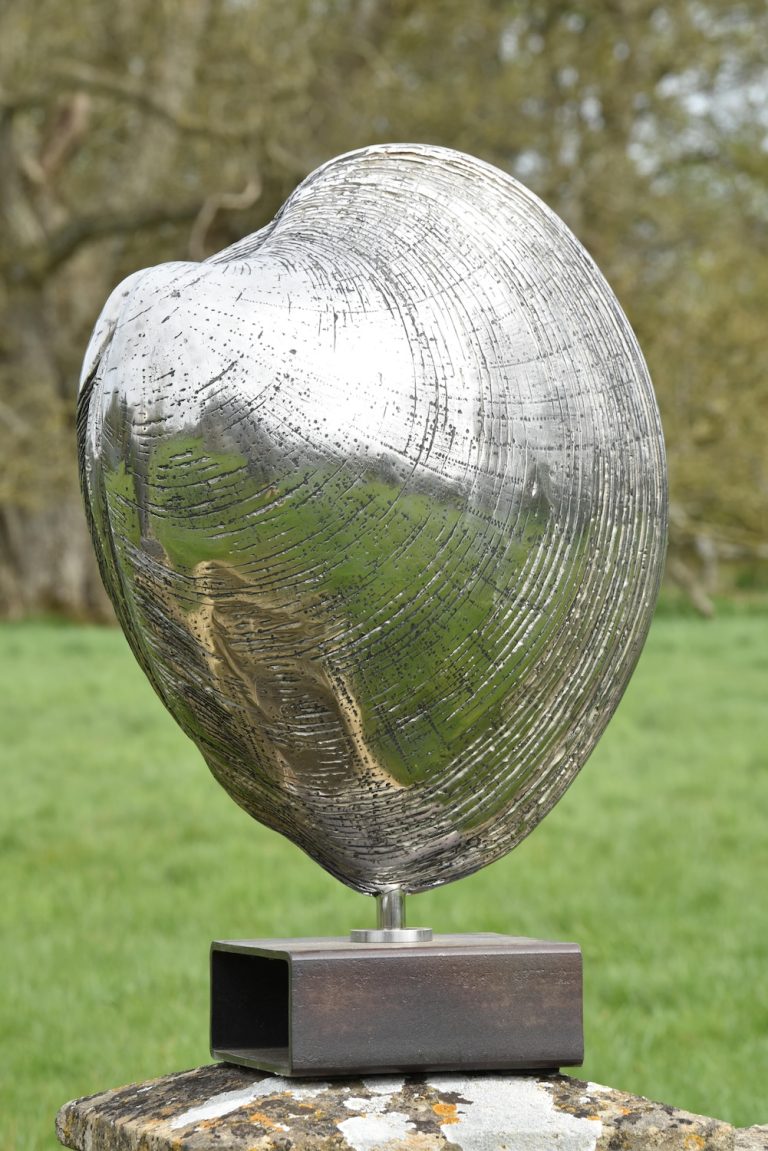Stainless steel Quahog Clam
