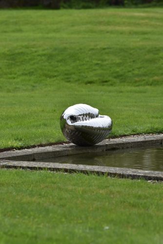 stainless steel cowrie shell by pond