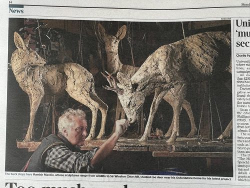 Mackie working on roe deer sculptures