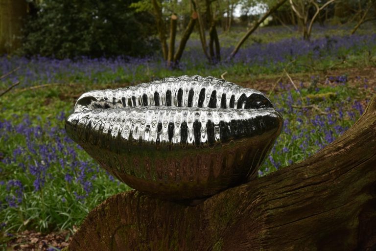 cowrie sculpture in stainless steel