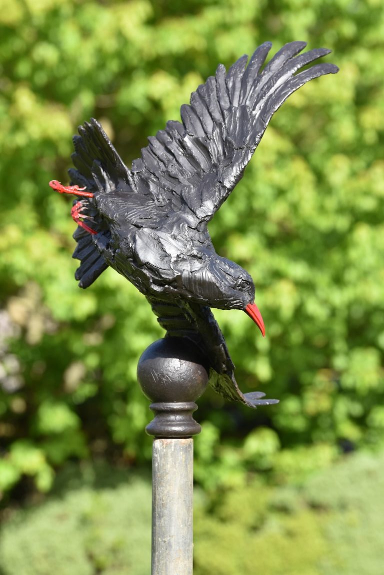 bronze chough sculpture
