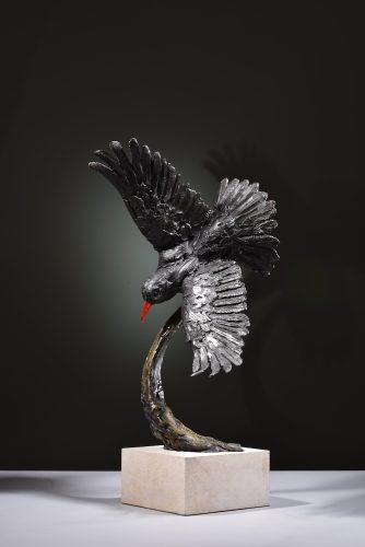 Mackie's bronze chough