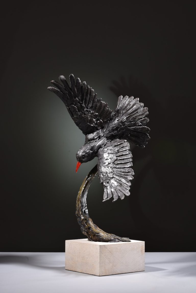 Mackie's bronze chough
