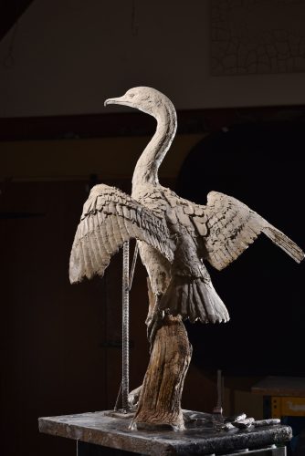 clay model of cormorant