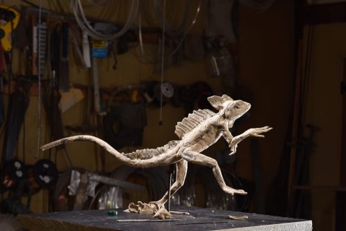 plasticine model of Jesus lizard sculpture