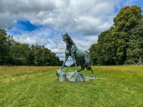 Andalusian Stallion in grounds of Cirencester Park