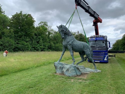 Andalusian being placed in grounds